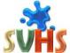 SVHS SOLUZIONI INTERNET DI VIANI GILBERTO